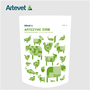 ARTEZYME